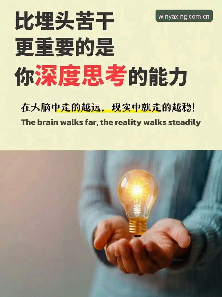 每一步都走得更稳官网APPiOS版：赛前必知的几个隐藏避坑点